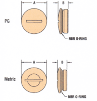 HEYCO BRASS TP PG 21